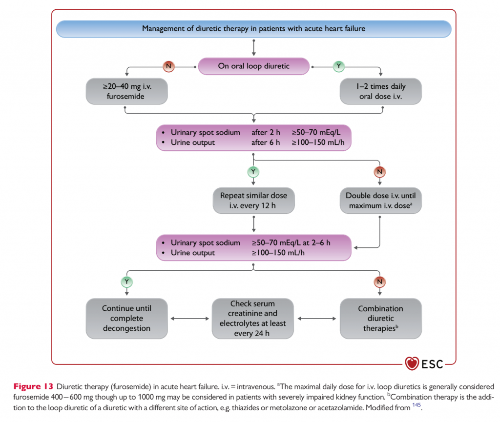01 esquema de esc guideline 2021