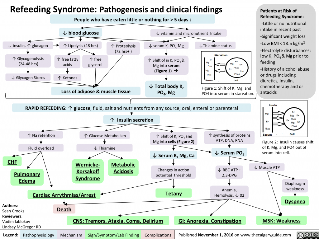diagnosis-signs-symptoms-syndrome-refeeding-original
